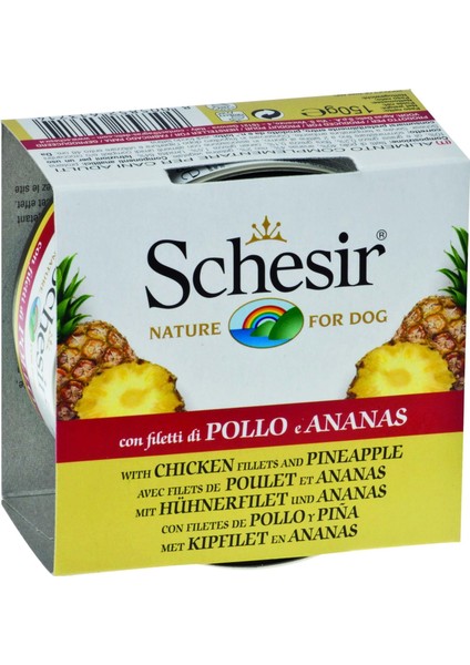 Tavuk ve Ananas Köpek Konservesi 150 gr