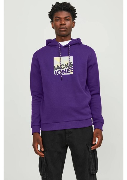 Jack & Jones Jcologan Sweat Hood AW23 Mor