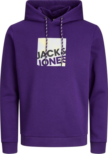 Jack & Jones Jcologan Sweat Hood AW23 Mor