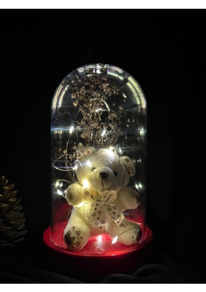 Fanus Içerisinde Sevimli Ayıcık ve Peri LED Işıklı ve Kartanesi Kolye modelleri