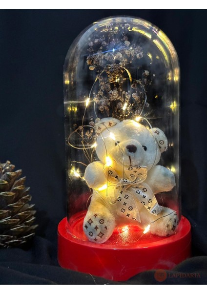 Fanus Içerisinde Sevimli Ayıcık ve Peri LED Işıklı ve Kartanesi Kolye indirimleri