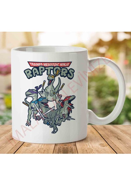 1-1619 Ninja Turtles Trained Mesozoic Ninja Raptors Iki Tarafı Baskılı Kupa Bardak