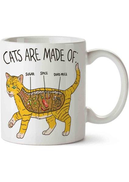 Kedi Anatomi Cat Anatomy Iki Tarafı Baskılı Kupa Bardak
