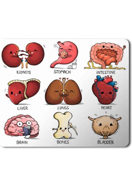 Organlar Vücut Organları Kalp Beyin Kemik Böbrek Baskılı Mouse Pad Mousepad