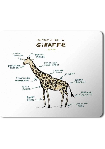 Zürafa Anatomi Giraffe Anatomy Baskılı Mouse Pad Mousepad