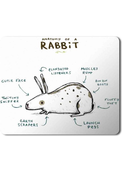 Tavşan Anatomisi Anatomy Of A Rabbit Baskılı Mouse Pad Mousepad