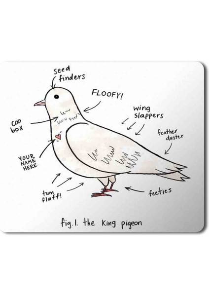 Güvercin Anatomi Baskılı Mouse Pad Mousepad