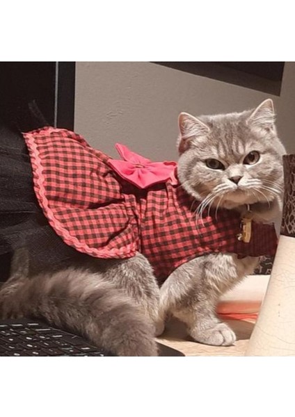 Kırmızı Siyah Kareli Papyonlu Dişi Kedi Köpek Kıyafeti Elbisesi Xlarge/xl/beden 4 fiyatları