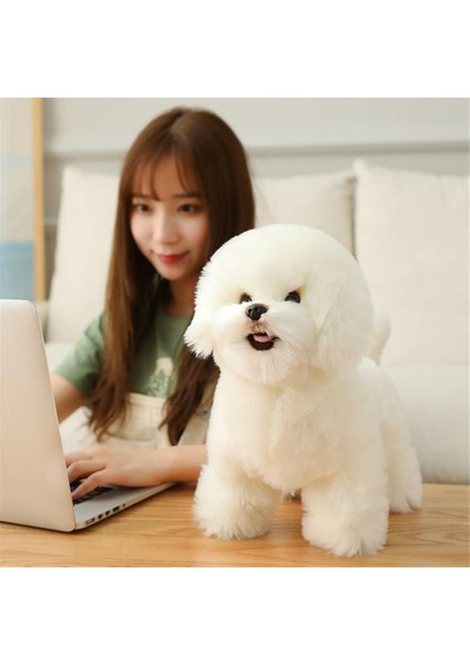 Simülasyon Bichon Frise Peluş Oyuncak Doldurulmuş Hayvan Gerçekçi Yavru Köpek Oyuncak Ev Dekorasyonu Için (Beyaz, 35 Cm/13 Inç) (Yurt Dışından)