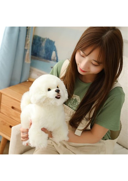 Simülasyon Bichon Frise Peluş Oyuncak Doldurulmuş Hayvan Gerçekçi Yavru Köpek Oyuncak Ev Dekorasyonu Için (Beyaz, 35 Cm/13 Inç) (Yurt Dışından) fiyatları