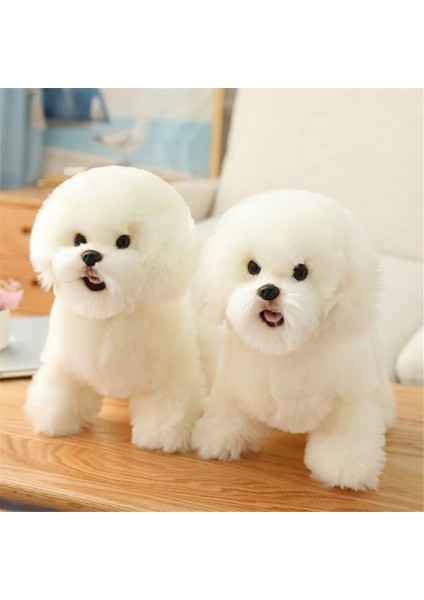 Simülasyon Bichon Frise Peluş Oyuncak Doldurulmuş Hayvan Gerçekçi Yavru Köpek Oyuncak Ev Dekorasyonu Için (Beyaz, 35 Cm/13 Inç) (Yurt Dışından) modelleri