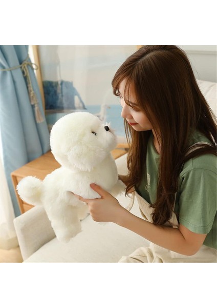 Simülasyon Bichon Frise Peluş Oyuncak Doldurulmuş Hayvan Gerçekçi Yavru Köpek Oyuncak Ev Dekorasyonu Için (Beyaz, 35 Cm/13 Inç) (Yurt Dışından) fırsatları