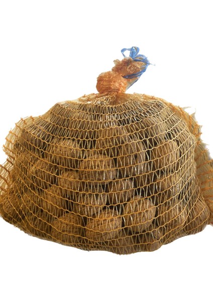 Kabuklu Ceviz 1 kg modelleri