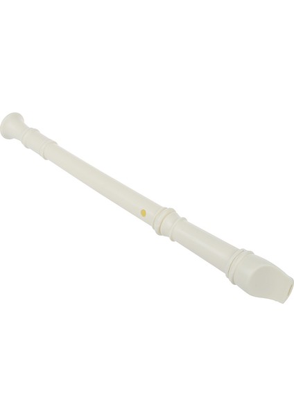 Öğrenciler Kapalı Plastik 8 Delikli Flüt Kaydedici ve Temizleme Çubuğu (Yurt Dışından) modelleri