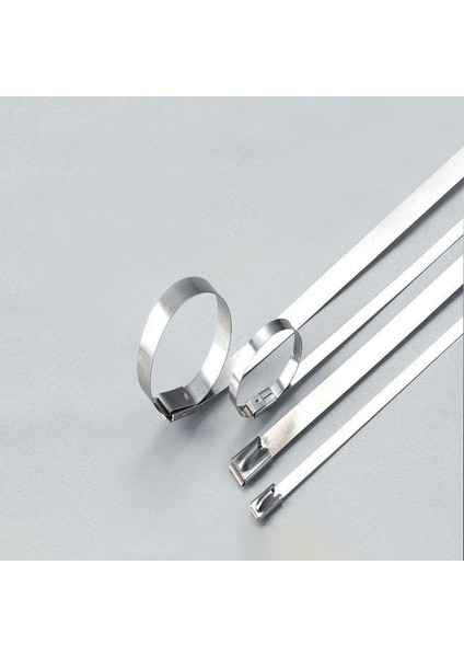 10 Adet 304 Paslanmaz Çelik Metal Kablo Bağları 4.6 mm Çok Fonksiyonlu Kablo Bağı Podazz (Yurt Dışından)