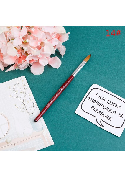 Kolinsky Akrilik Yuvarlak Tırnak Fırçası Manikür Alet Seti Boyutu 2 4 6 8 10 12 14 (Yurt Dışından) fiyatları