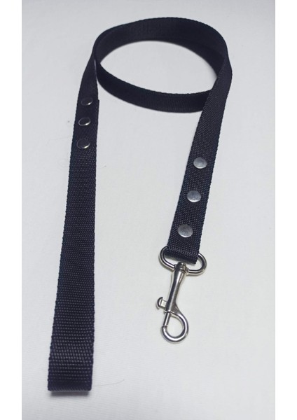 Köpek Gezdirme Kayışı 2 x 110 cm