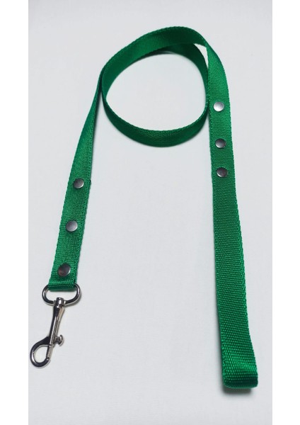 Köpek Gezdirme Kayışı 2 x 110 cm