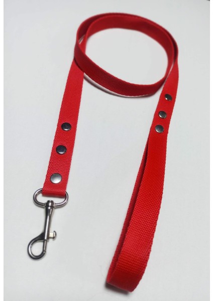 Köpek Gezdirme Kayışı 2 x 110 cm