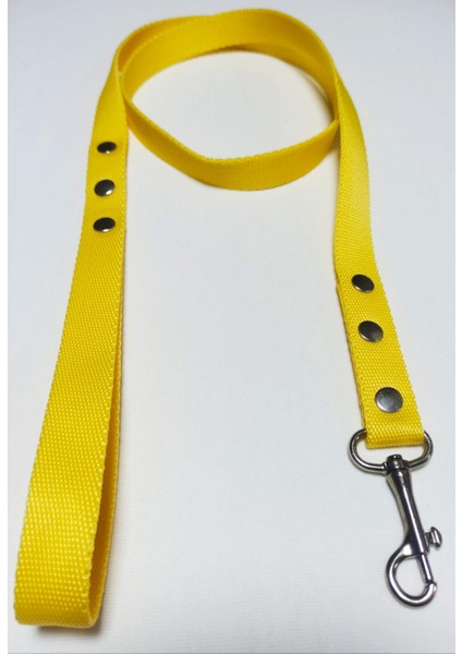 Köpek Gezdirme Kayışı 2 x 110 cm