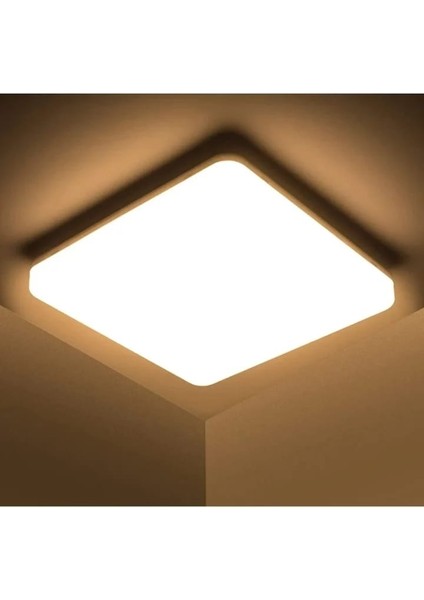 Moder Tavana Sıfır LED Avize 24 W Günışığı LED Aplik Avize Armatür