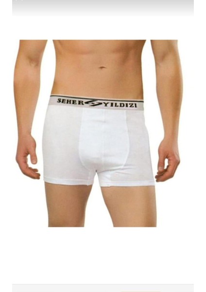0060 Erkek Likralı Boxer Tekli