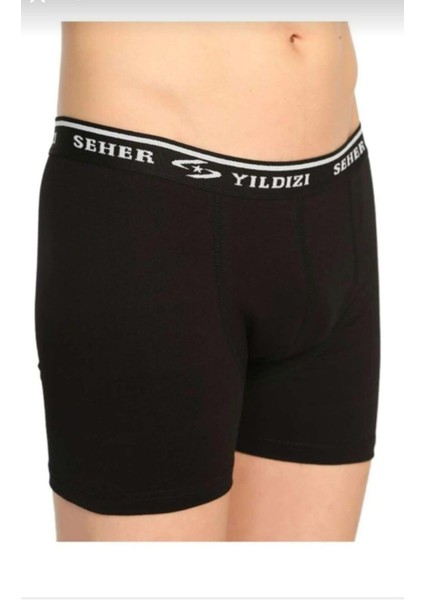 0060 Erkek Likralı Boxer 6 Adet