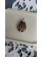 Kaplangözü Kolye Ucu 4