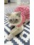 Beyaz Çiçek Desenli Kurdeleli Kırmızı Kedi Köpek Kıyafeti Elbisesi Xsmall/xs/beden 0 1
