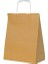 Roll-Up Kraft Çanta Altın Küçük Boy 18X24CM 25LI 2