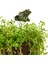Reçine Kurbağa Toprak Nem Ölçer Nem Test Cihazı Sensörü Kapalı Bonsai Çiftliği Sulama Hatırlatma Bahçe Higrometre (Yurt Dışından) 2