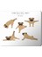 Yoga Dogs Yoga Yapan Köpek Baskılı Mouse Pad Mousepad 1