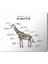 Zürafa Anatomi Giraffe Anatomy Baskılı Mouse Pad Mousepad 1