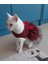 Kırmızı Siyah Kareli Papyonlu Dişi Kedi Köpek Kıyafeti Elbisesi Xlarge/xl/beden 4 7