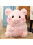 Sevimli Domuz Peluş Oyuncaklar, Yumuşak Karikatür Piggy Dolması Hayvan Oyuncak Peluşlar, Kız Kız Arkadaşı Için Doğum Günü Hediyeleri (Orta Piggy 9.8'') (Yurt Dışından) 4