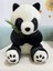 11.8 Inç Panda Doldurulmuş Hayvan, 3 Adet Panda Peluş, Doldurulmuş Panda Ayı Panda Anahtarlık ile Sevimli Peluşlar, Yumuşak Oyuncaklar (30CM)-OTURMA (Yurt Dışından) 3