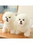 Simülasyon Bichon Frise Peluş Oyuncak Doldurulmuş Hayvan Gerçekçi Yavru Köpek Oyuncak Ev Dekorasyonu Için (Beyaz, 35 Cm/13 Inç) (Yurt Dışından) 3