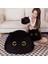 Kedi Peluş Bebek Çocuk Peluş Hayvan Oyuncak Peluş Yastık Bulanık Hayvan Ev Dekorasyon Hayvan Peluş Pet Peluche Siyah Kedi Doldurulmuş Oyuncaklar (15 Cm, Siyah) (Yurt Dışından) 4
