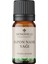 Nane Yağı Uçucu Yağı 10 ml %100 Saf Ve Doğal ( Cormint Essential Oil ) 1