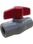 Easterner Plastik Vana 1/2'' 1