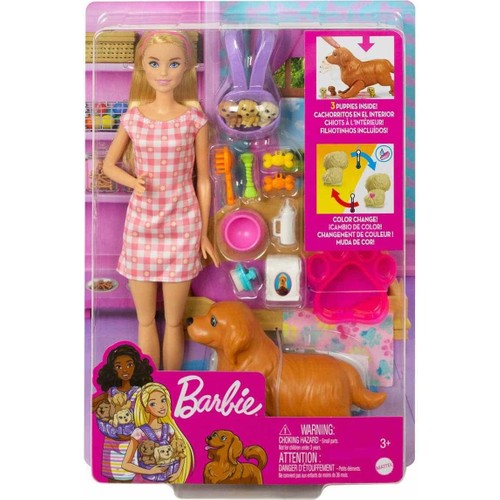 Barbie ve Hayvan Dostları HCK75 Frozen Temalı Model Bebek Seti Renkli Aksesuarlarla