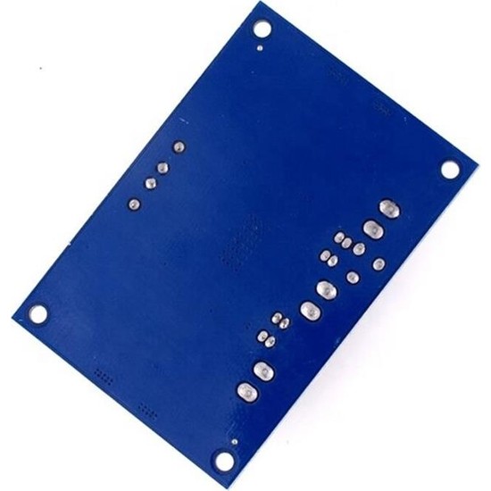 TLS Robotik TPA3116 D2 12V-24V 100W Mono Dijital Ses Fiyatı