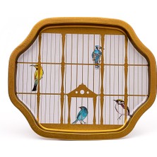 Evle EE166-T7 Bird Cage Desenli Özel Şekil Tepsi 28X33 cm