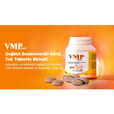 Zoetis Vmp Multivitamin Mineral 50 Tablet