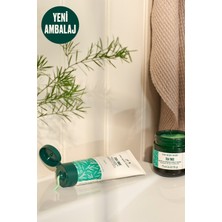 The Body Shop Çay Ağacı Arındırıcı Kil Maskesi 75 ML