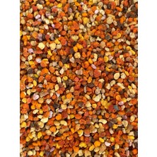 Kazdağı Arıcılık Kazdağı Taze-Yaş Polen 500GR (Soğuk Zincir Ürünüdür)