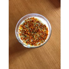 Kazdağı Arıcılık Kazdağı Taze-Yaş Polen 500GR (Soğuk Zincir Ürünüdür)