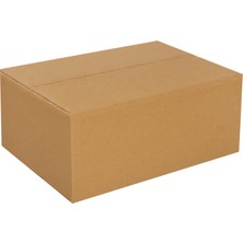Packanya 30x25x12-10 Adet Tek Oluklu Taşıma Kolisi