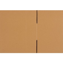 Packanya  35x25x15-50 Adet Tek Oluklu Taşıma Kolisi