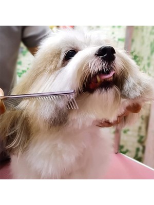 Cloud Senlinli 6 Inç Pet Bakım Köpek Saç Makas Seti (Yurt Dışından)